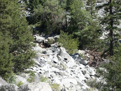 Tough to see in the picture, but there's a black bear walking on the rocks along the riverbank. Very stereotypical bear setting, and great to see. It was the first of two bear sightings for us today.